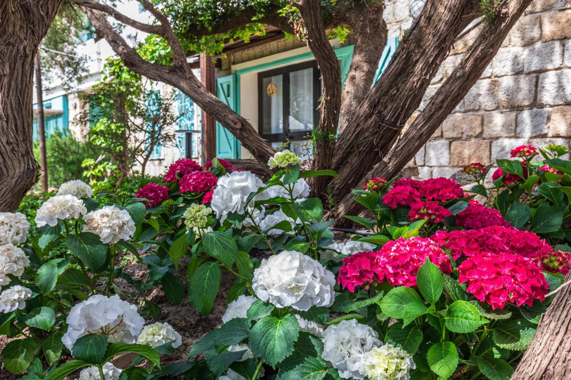 Villa Tre Mari Вилласимиус Экстерьер фото